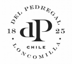 Viña del Pedregal S.A.