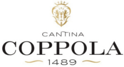 niccolò coppola srl